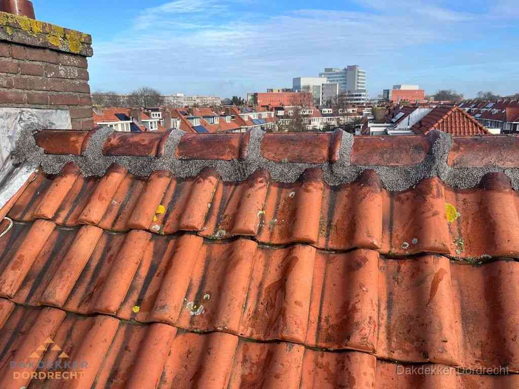 Dordrecht Daken Renoveren Dordrecht Daken Renoveren